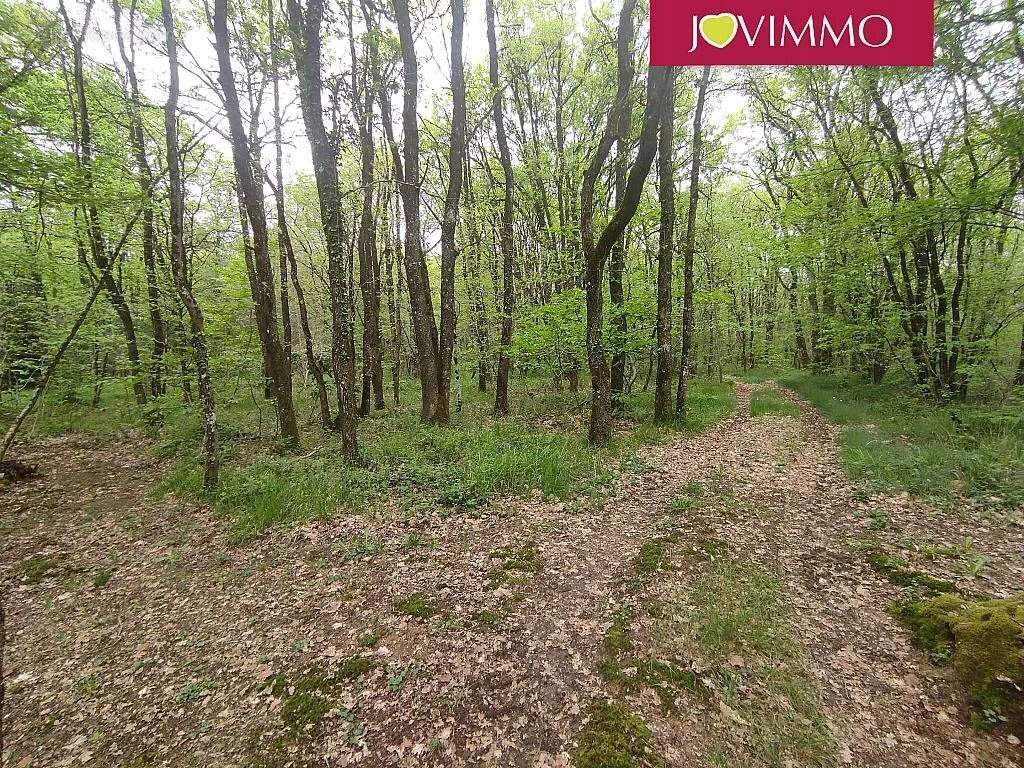 Terrain à MIGNALOUX-BEAUVOIR