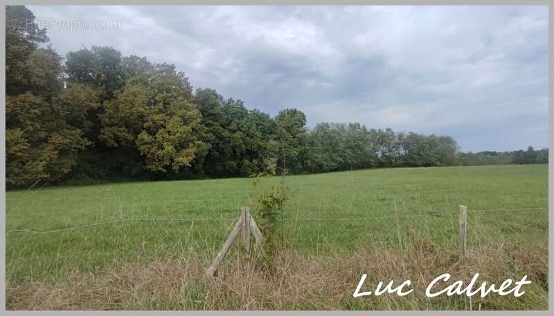   a saisir 465k€ – belle propriété montauban – secteur recherché du fau  - photo 15
