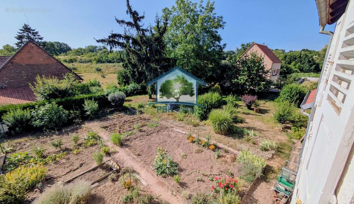 OBERMODERN (67) - Maison 131m² avec Cour, Dépendances et Jardin sur 12.46 ares - photo 3