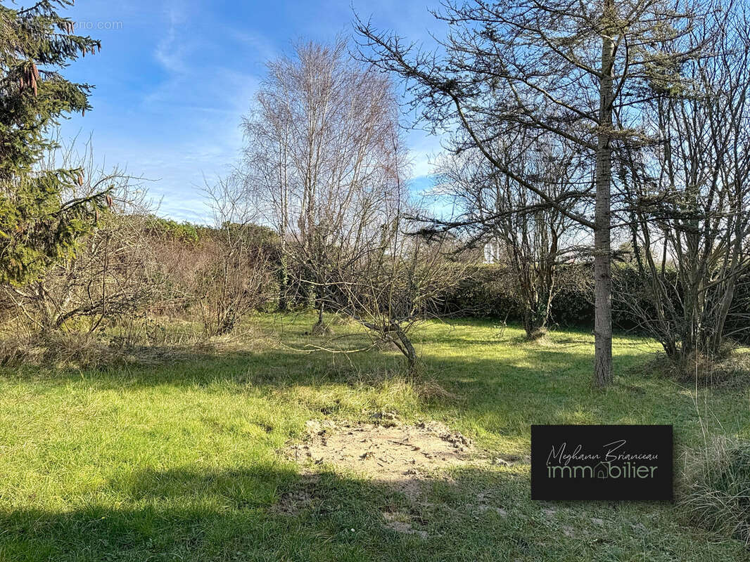 Terrain à NOTRE-DAME-DE-MONTS