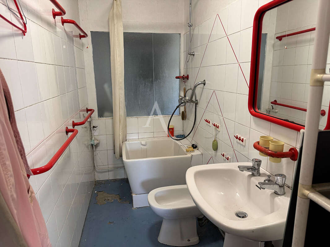 Authentique corps de ferme en pierres  - Plus de 11 hectares  - Un havre de paix aux portes de La Rochelle - photo 15