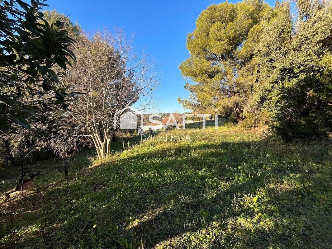 Photo 7 - Maison à MARSEILLE-11E