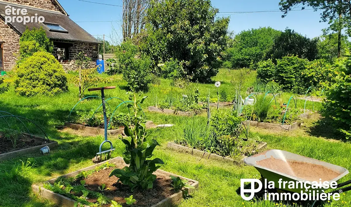 Charmante longère en pierre, à vendre - Monterfil - photo 9