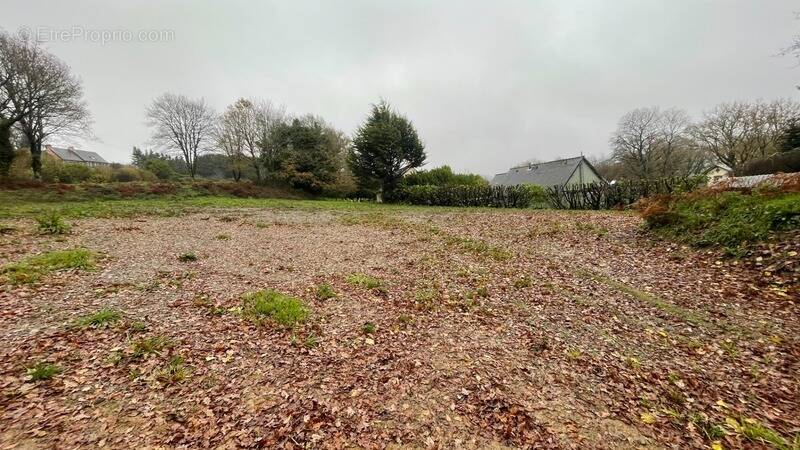 Terrain à LANISCAT