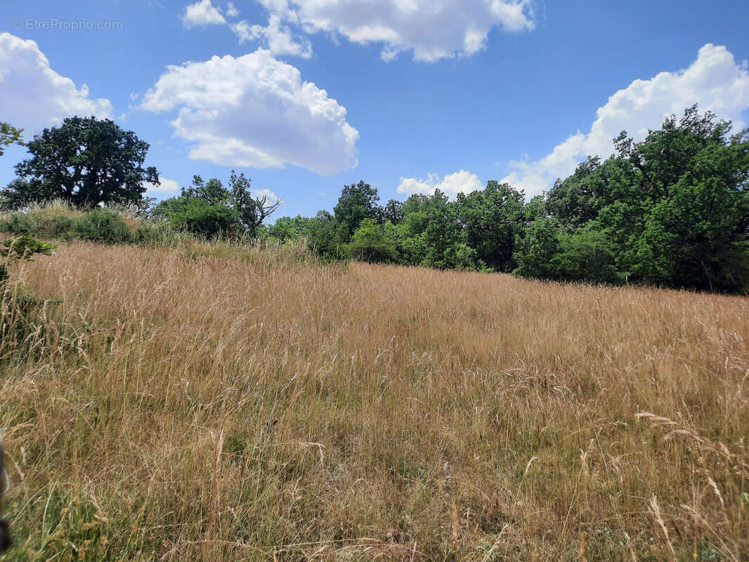 Une opportunité rare au cœur du Larzac : 9 128 m2 pour concrétiser vos projets touristiques ou de loisirs - photo 2