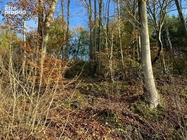 Terrain à LA VESPIERE