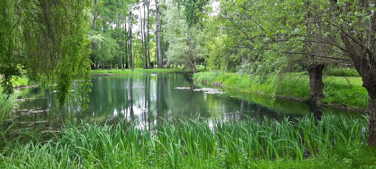 A 1h30 de PARIS - Charmante MAISON avec ETANG de 5000 m2, édifiée sur plus de 2 Hectares et bordé par une rivière - photo 17