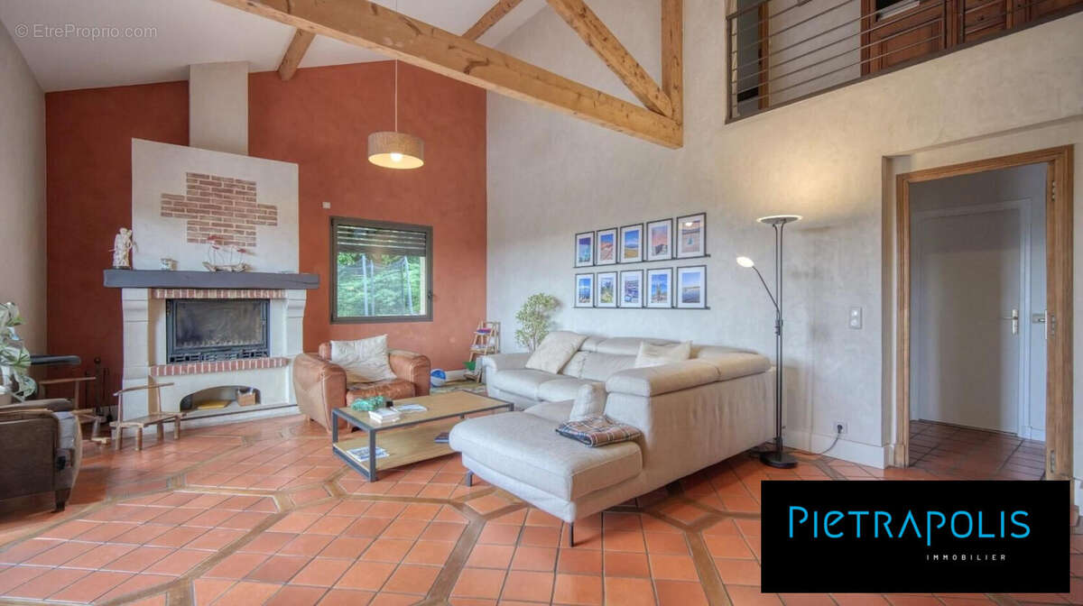 salon - Maison à NEYRON