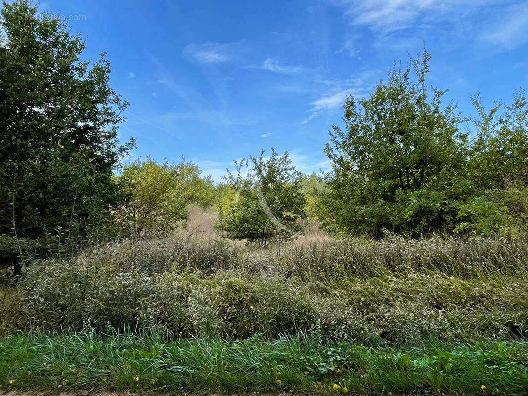 Terrain à ROMORANTIN-LANTHENAY