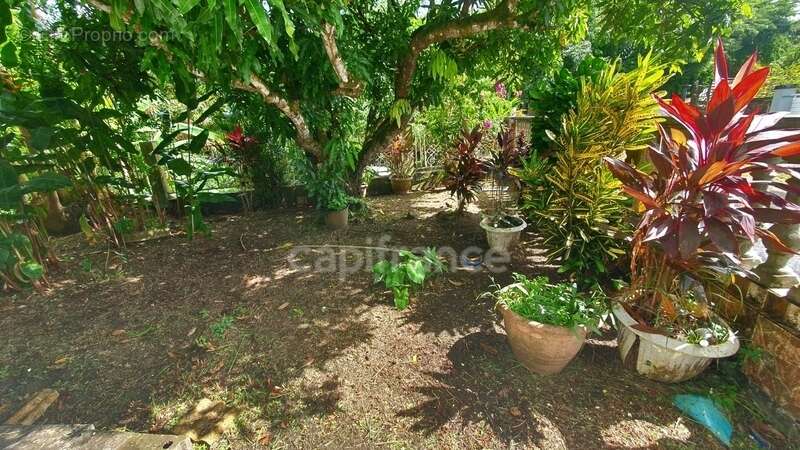 A VENDRE Maison de plain pied 5 pièces avec garage et dépendances LE DIAMANT 97223 - photo 12