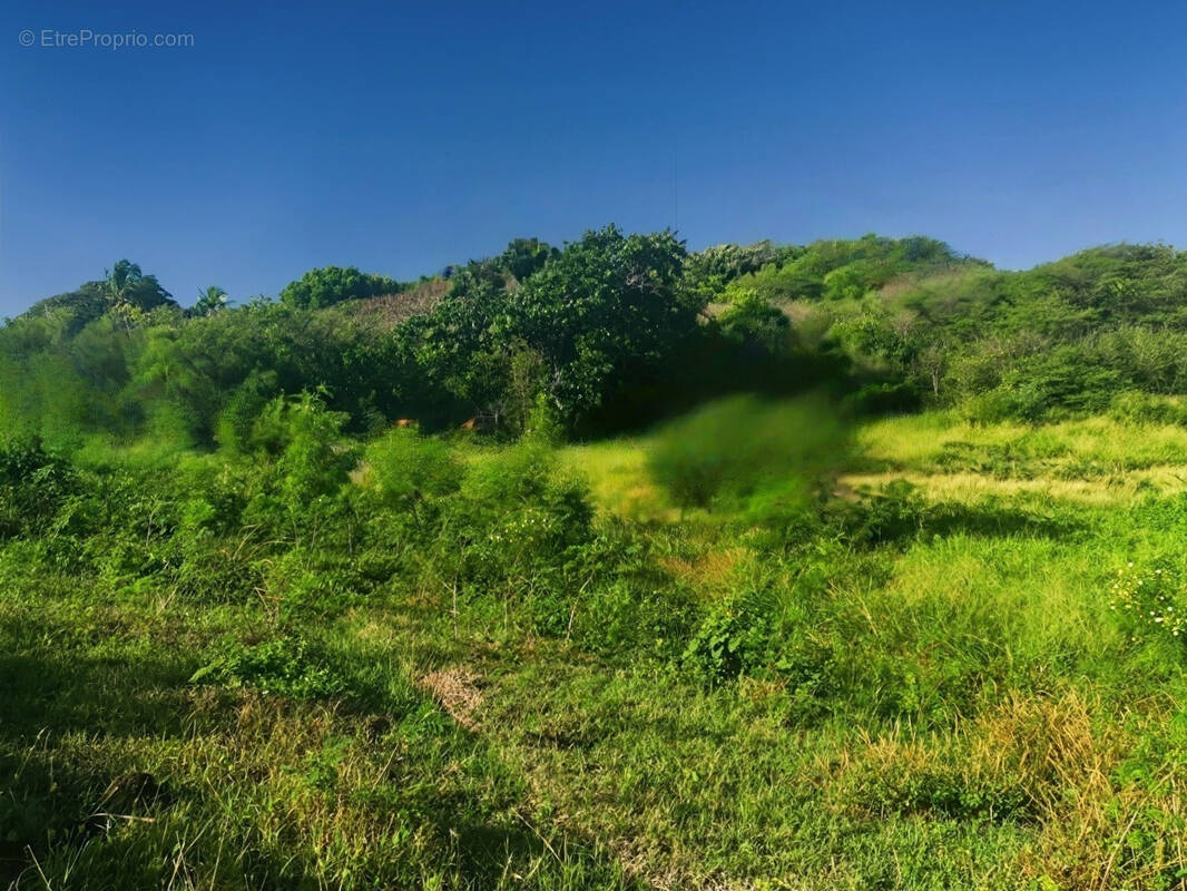 Terrain à SAINT-FRANCOIS