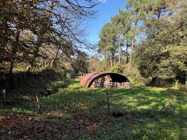 Maison à LES SALLES-DU-GARDON