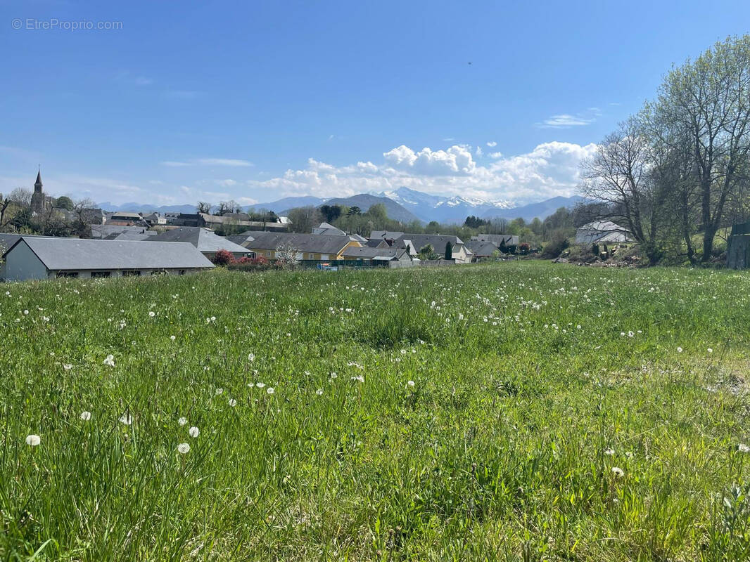 Terrain à POUEYFERRE