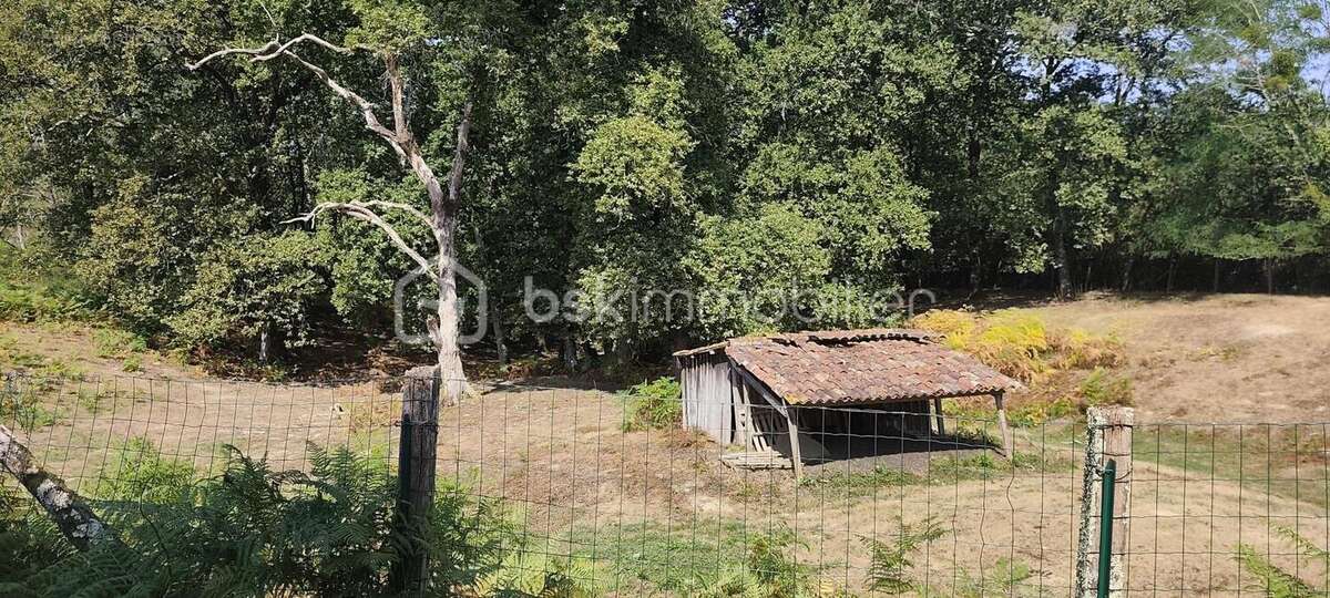 Superbe propriété de 190 m²  – Calme, piscine et nature aux portes de Dax - photo 16
