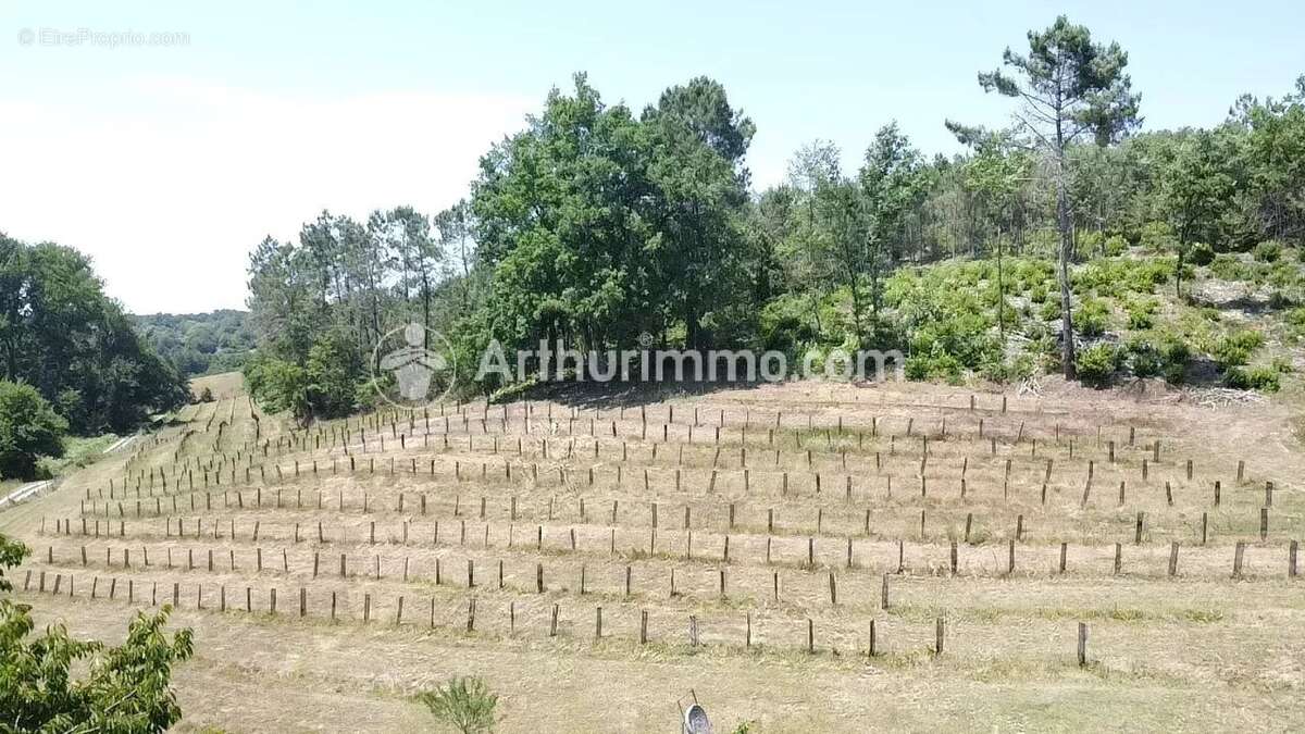 Maison de caractère - 155m² - 8 hectares - photo 7