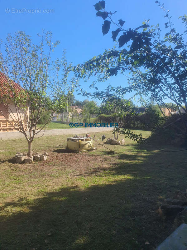 Terrain à MONTAUBAN