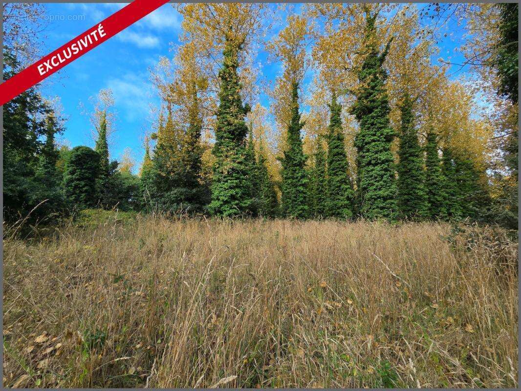 Maison à PLOUEC-DU-TRIEUX