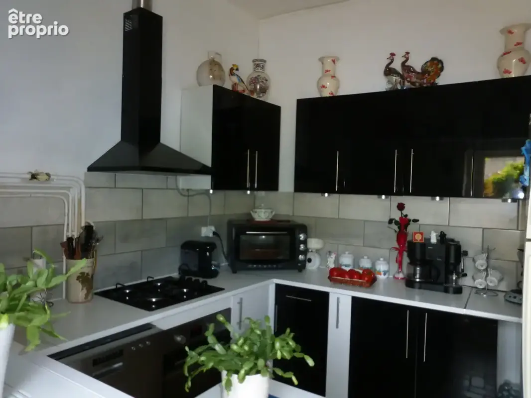 Maison 65 m2 de plain pied sur 145 m2 de terrain - photo 3