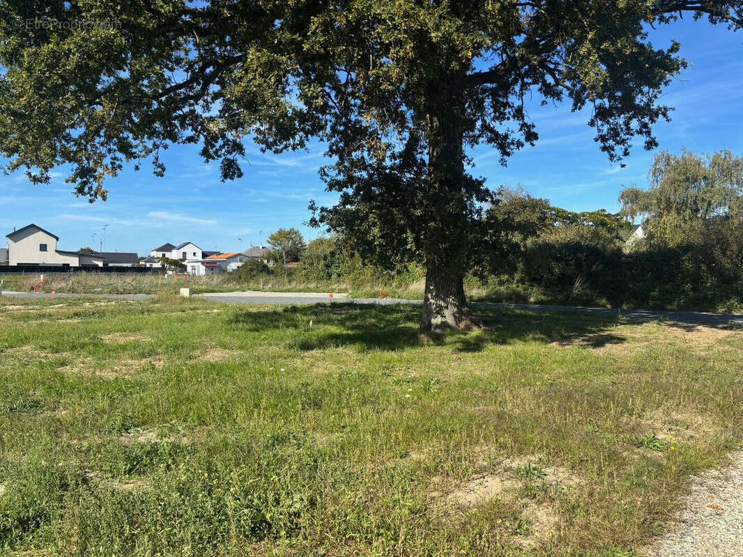 Terrain à SAINT-MARS-DU-DESERT