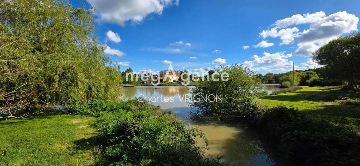 Domaine avec etang et environnement exceptionnel ! - photo 4