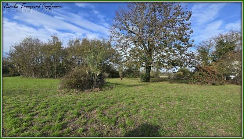 Terrain  3743 m² à vendre proche Saint jean d'Angély et proximité Surgères - photo 3