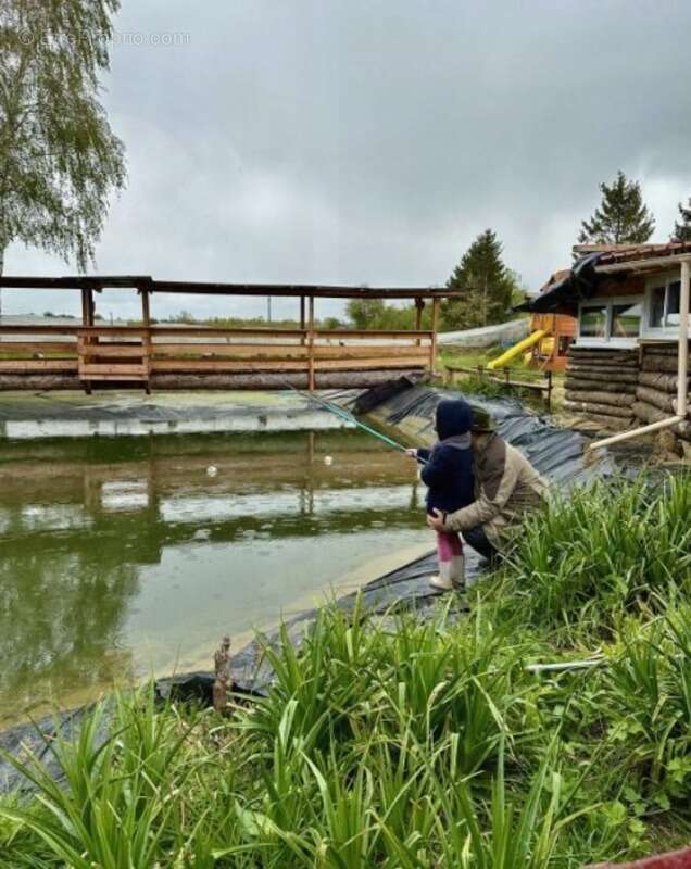 Propriété - photo 22