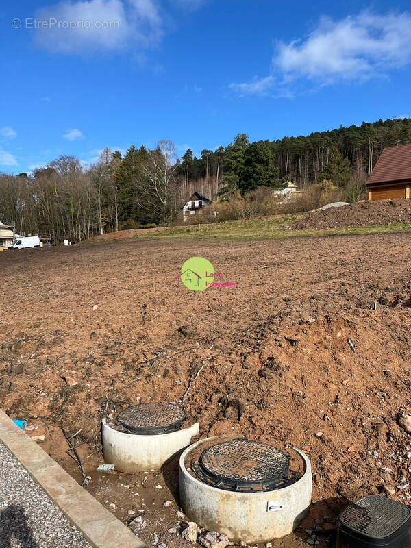 Terrain à GRENDELBRUCH