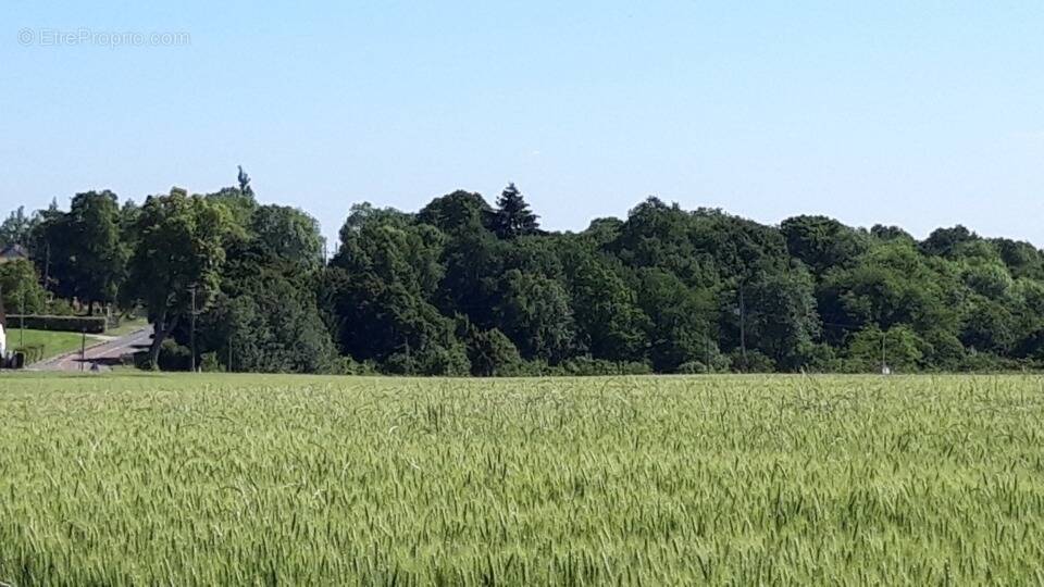 Terrain à BOULLAY-LES-TROUX
