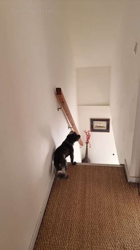 Palier - Maison à LACAPELLE-MARIVAL