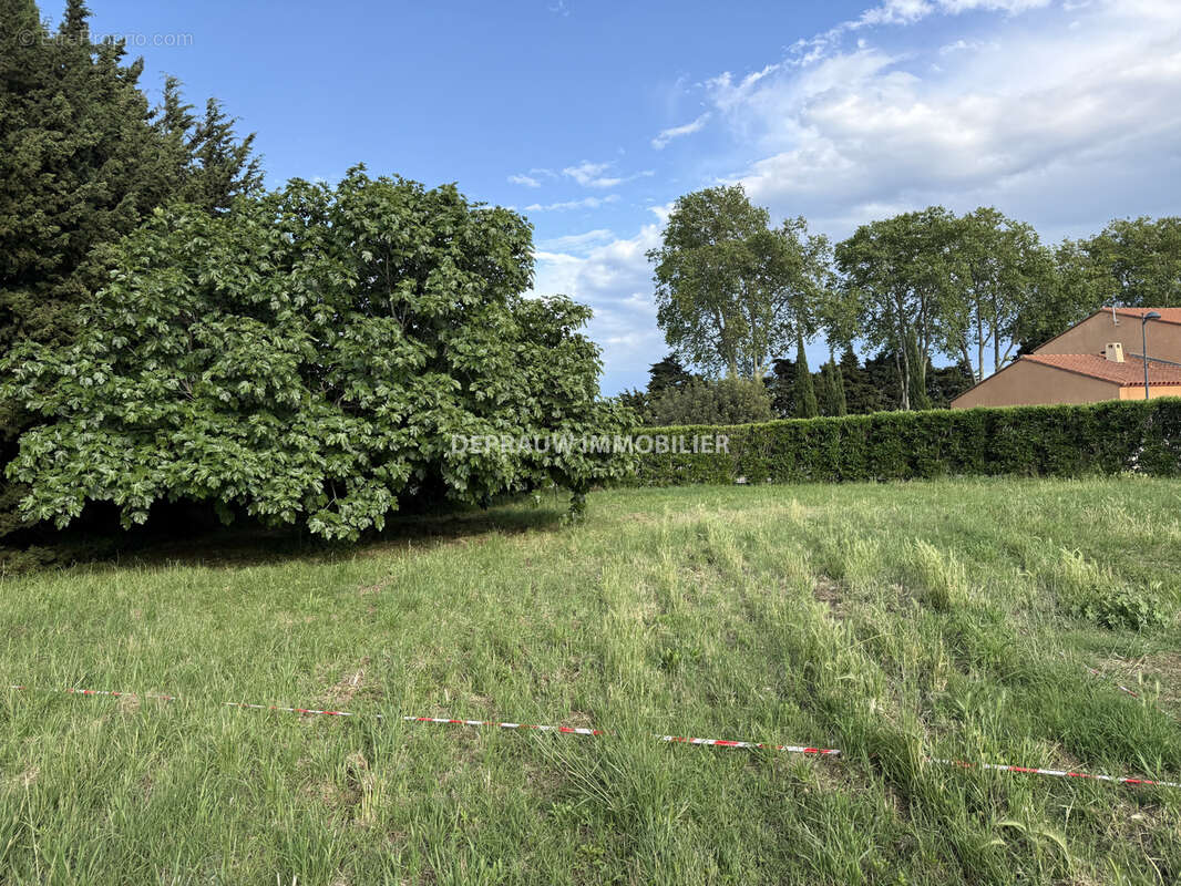 Terrain à ELNE