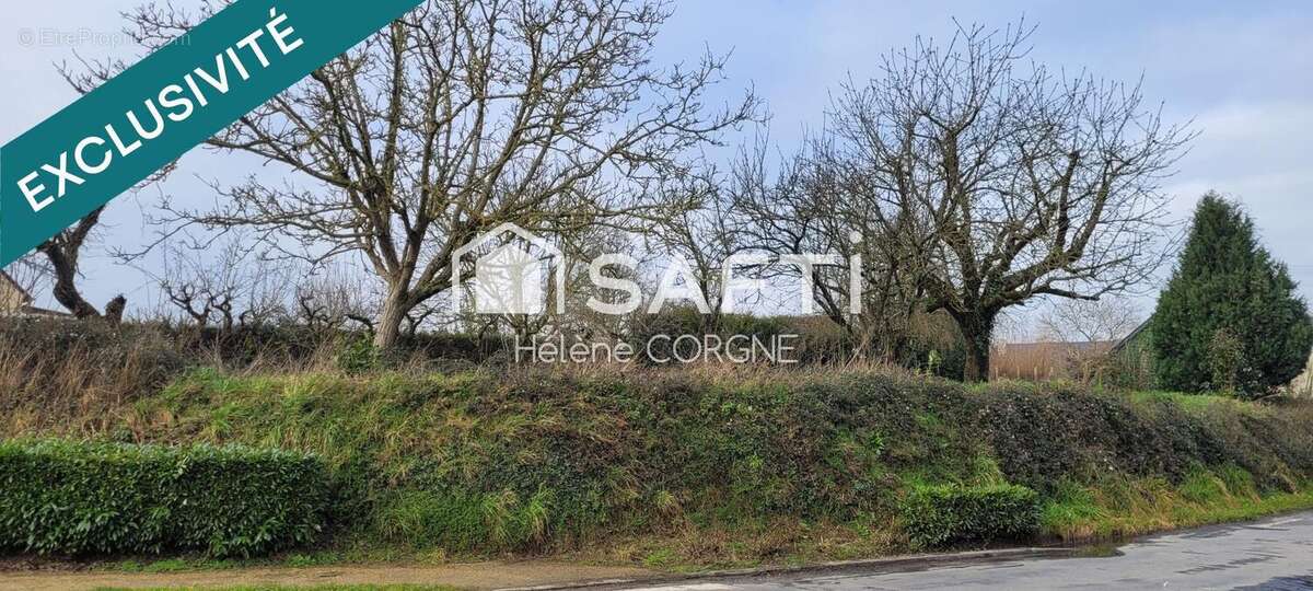 Photo 2 - Terrain à LA GUERCHE-DE-BRETAGNE
