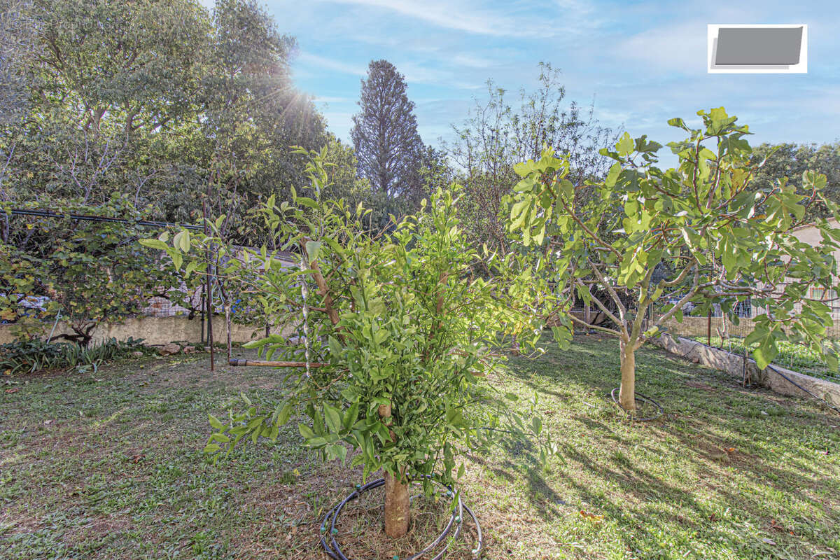 Appartement à OLLIOULES