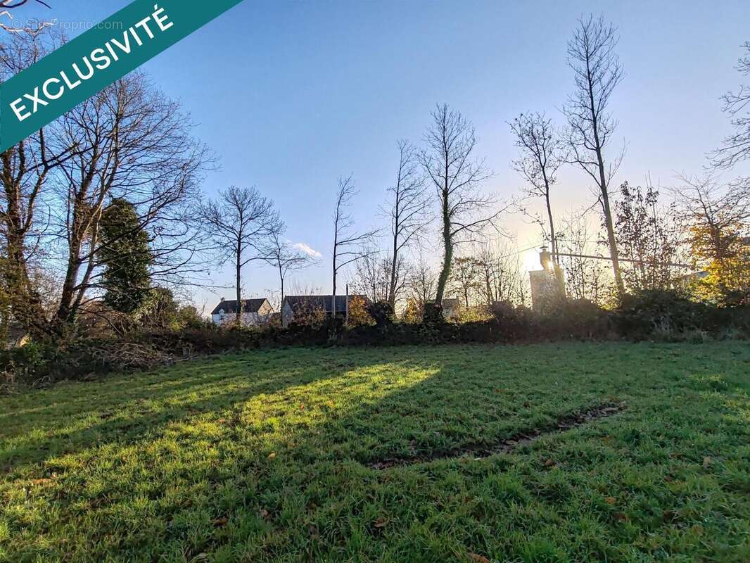 Photo 7 - Terrain à FOUGEROLLES-DU-PLESSIS