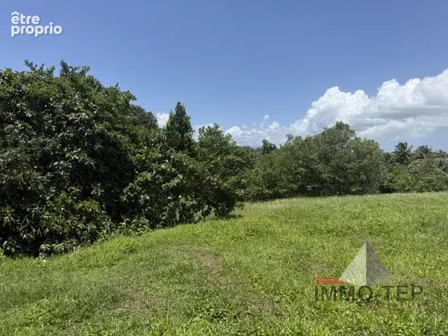 Terrain 1 429 m² à vendre à Baie-Mahault (97122) - photo 6