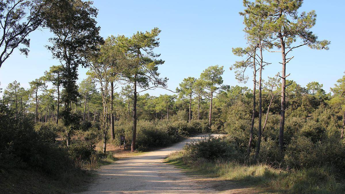 Terrain à CHATEAU-D'OLONNE