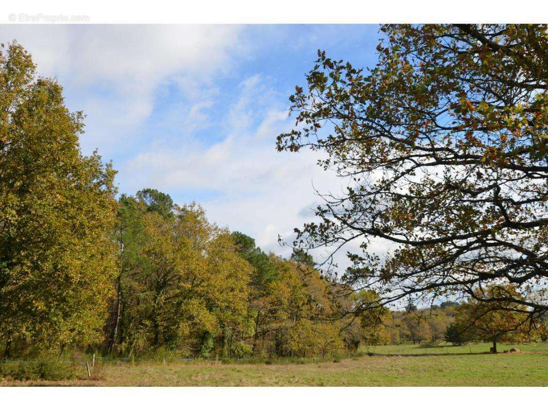 Terrain à PORCHERES