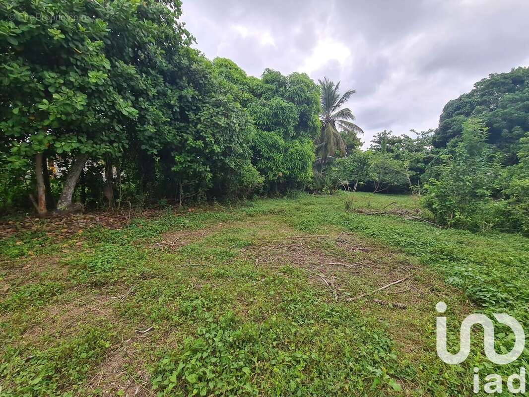 Photo 3 - Terrain à LE MOULE