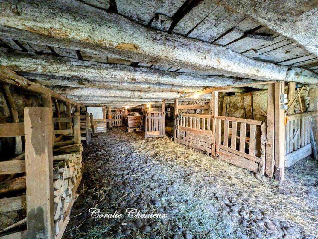 Photo 6 - Maison à BASSIGNAC