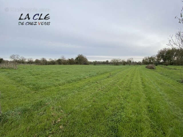 Maison à SAINT-PIERRE-LE-VIEUX