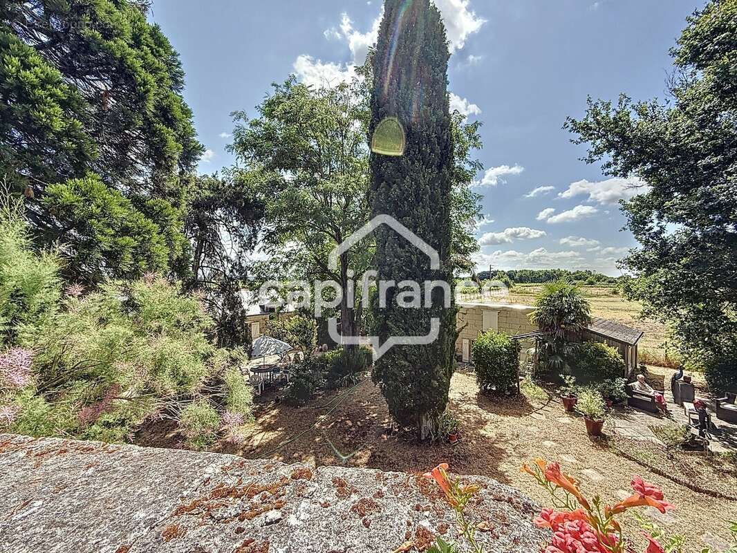 Ensemble de deux maisons et d'un moulin cavier, Savigny en Véron - photo 16
