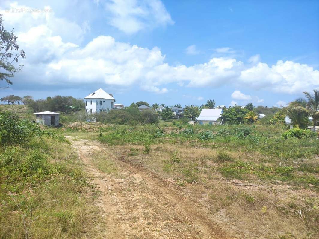 Terrain à SAINTE-ANNE