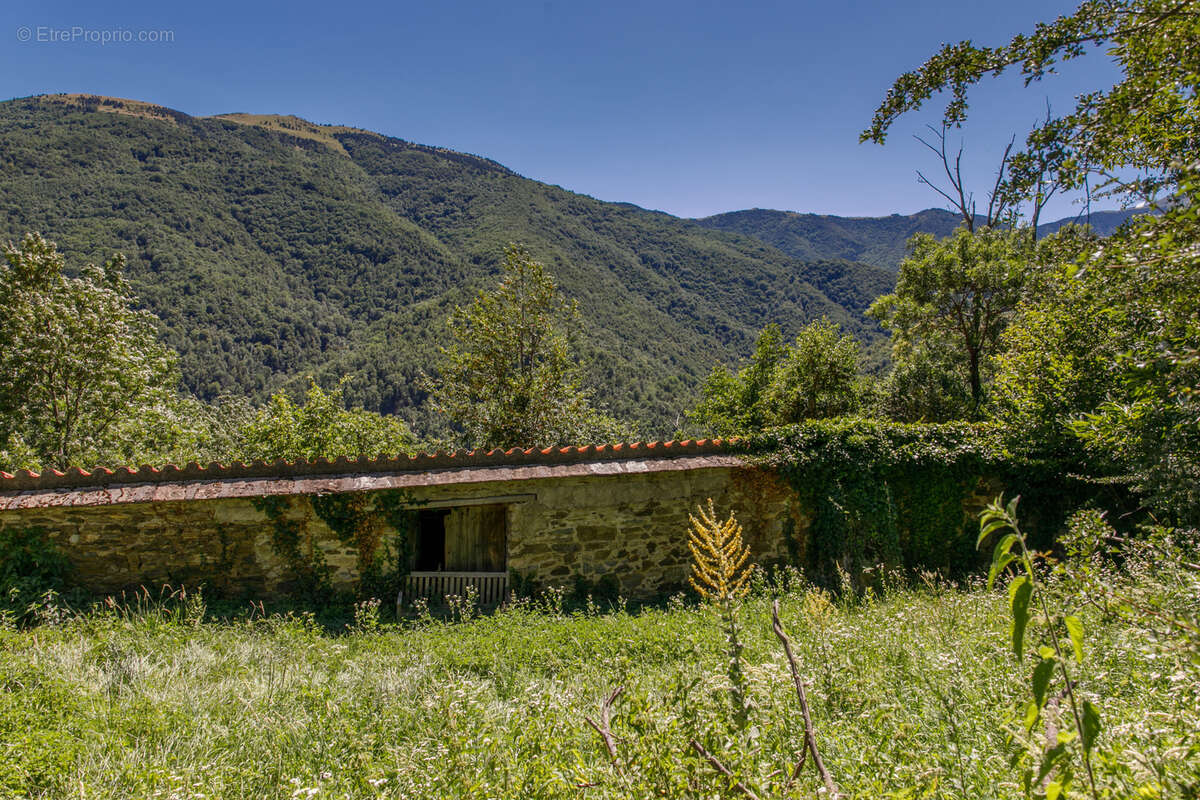 Maison à PRATS-DE-MOLLO-LA-PRESTE