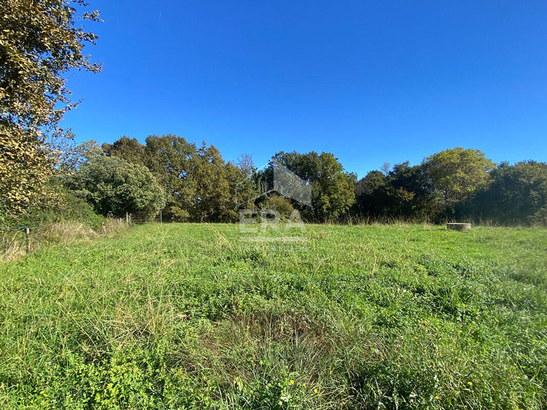 Terrain à SAINTE-MARIE-DE-GOSSE