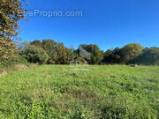 Terrain à SAINTE-MARIE-DE-GOSSE
