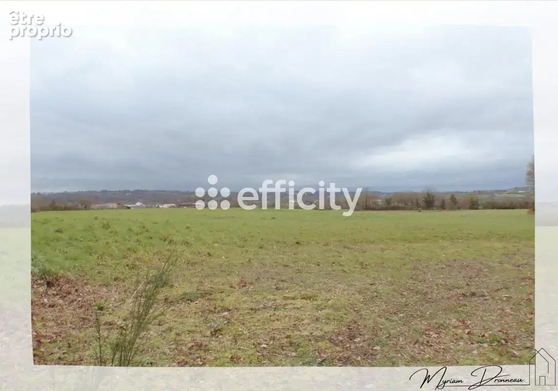 Terrain 10 000 m² à vendre à Mauleon (79700) - photo 4