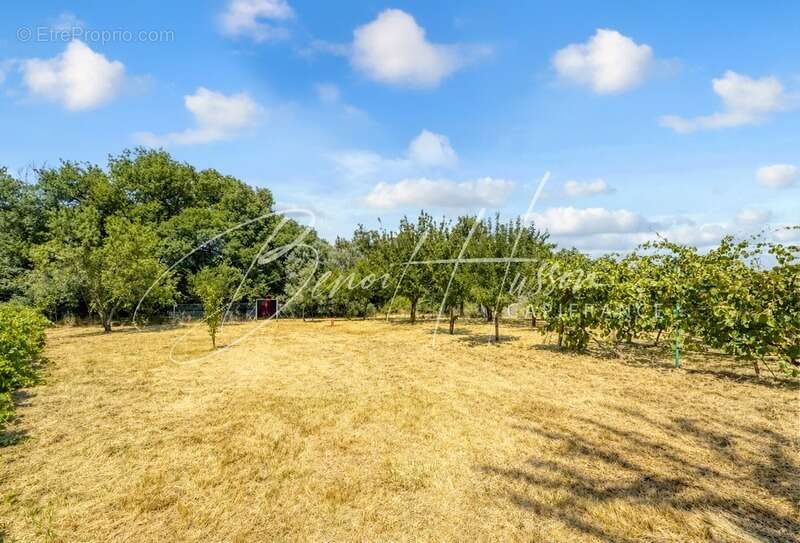 Maison familiale – 188m² – 5 chambres – jardin de plus de 3800m² - photo 15