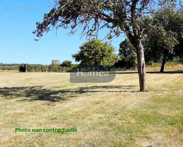 Terrain à SAINT-HELLIER