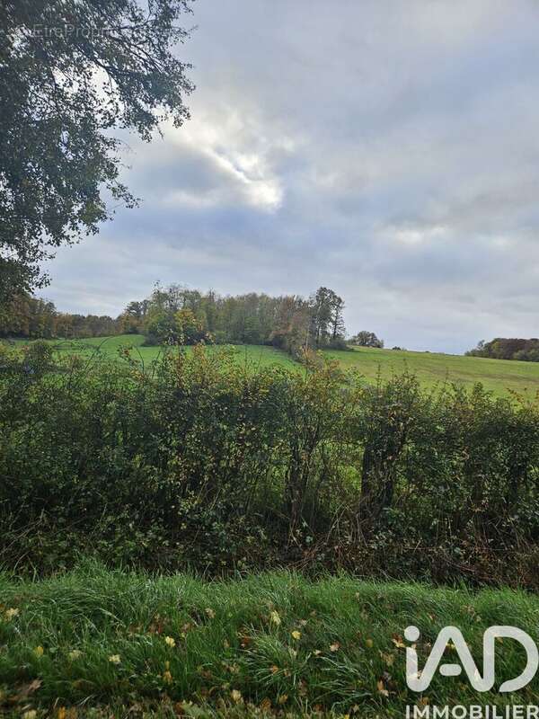 Photo 5 - Terrain à VILLENEUVE-SUR-YONNE
