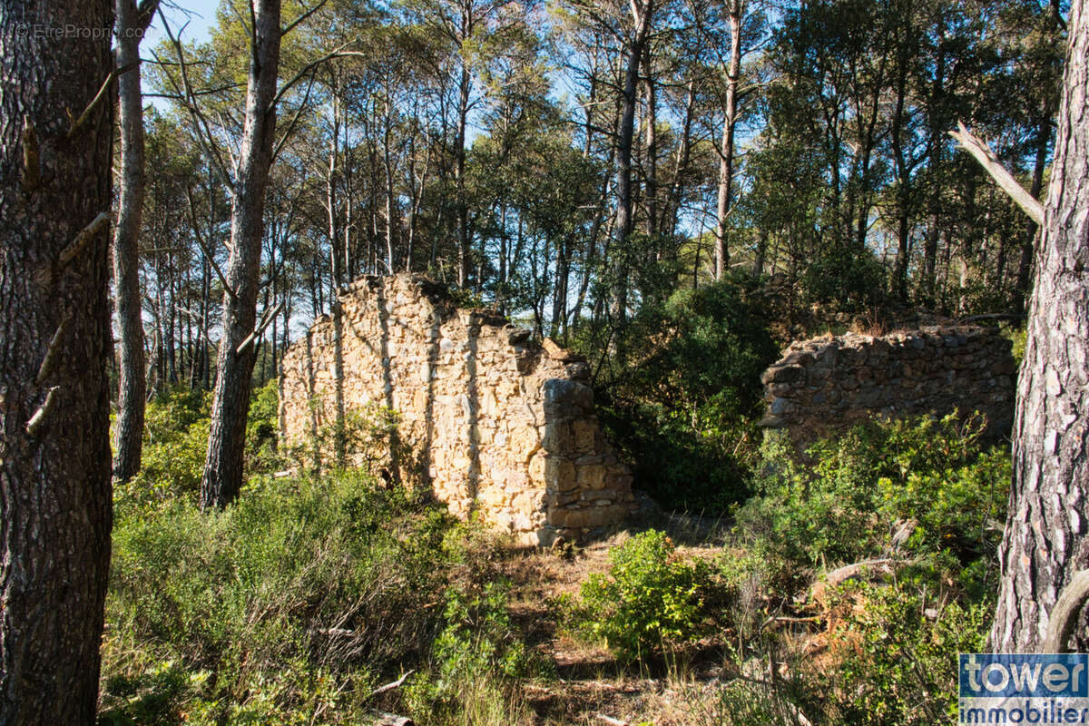 Terrain à FABREZAN