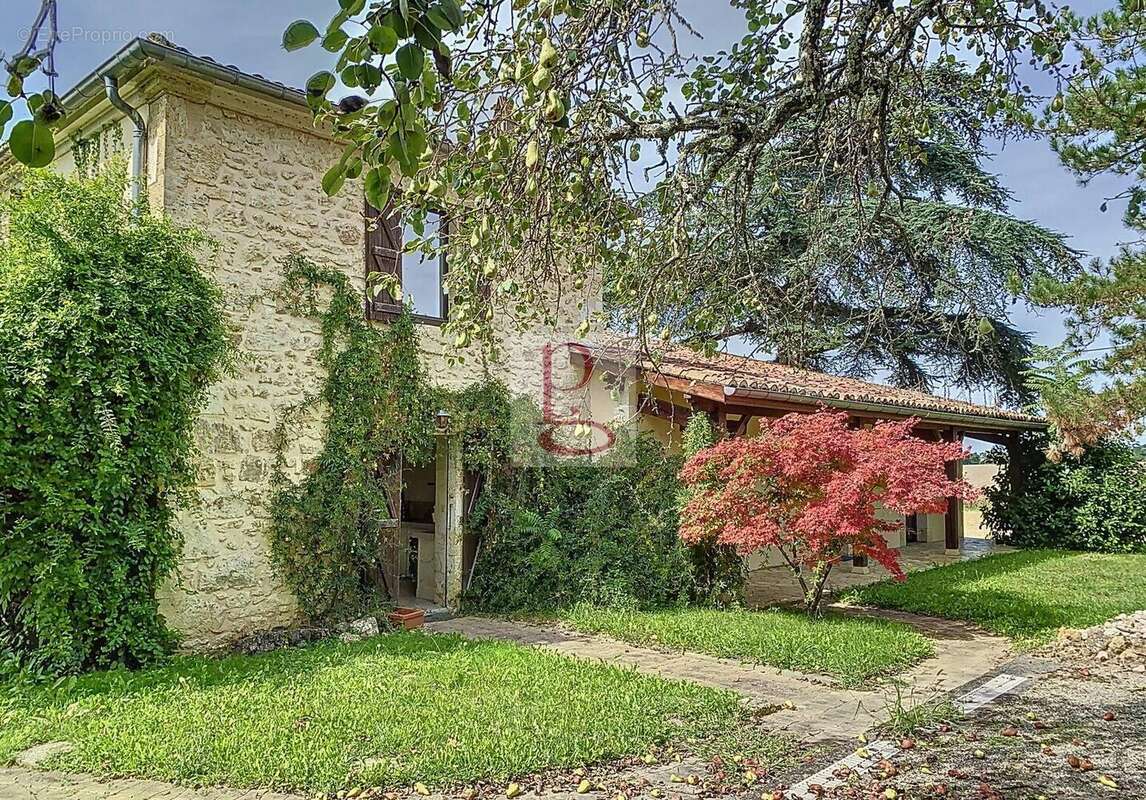 photo2630c6459a6d23c4ba01a9ae937b0b80 - Maison à CASTERA-VERDUZAN